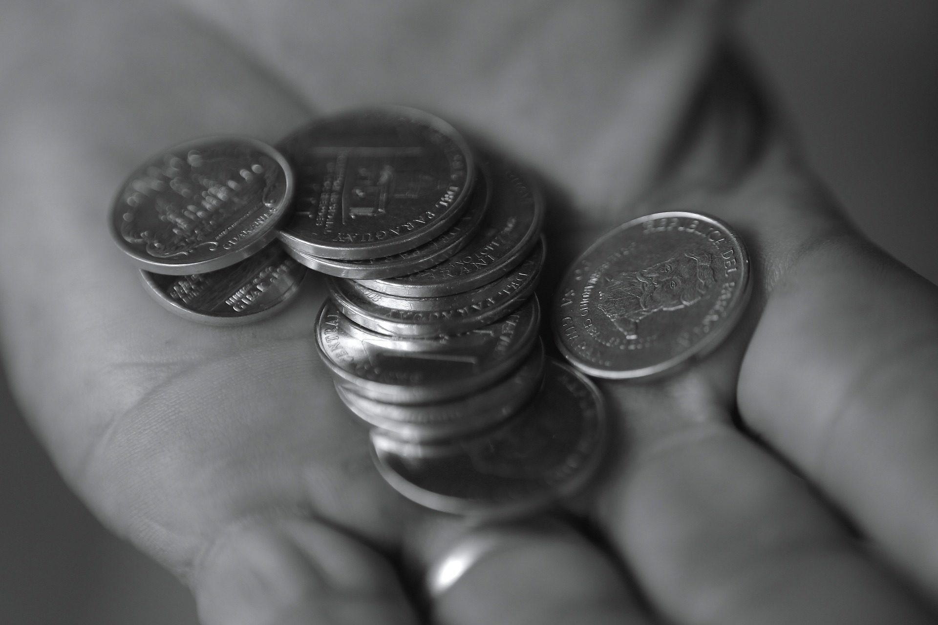 moneda plata RECURSO