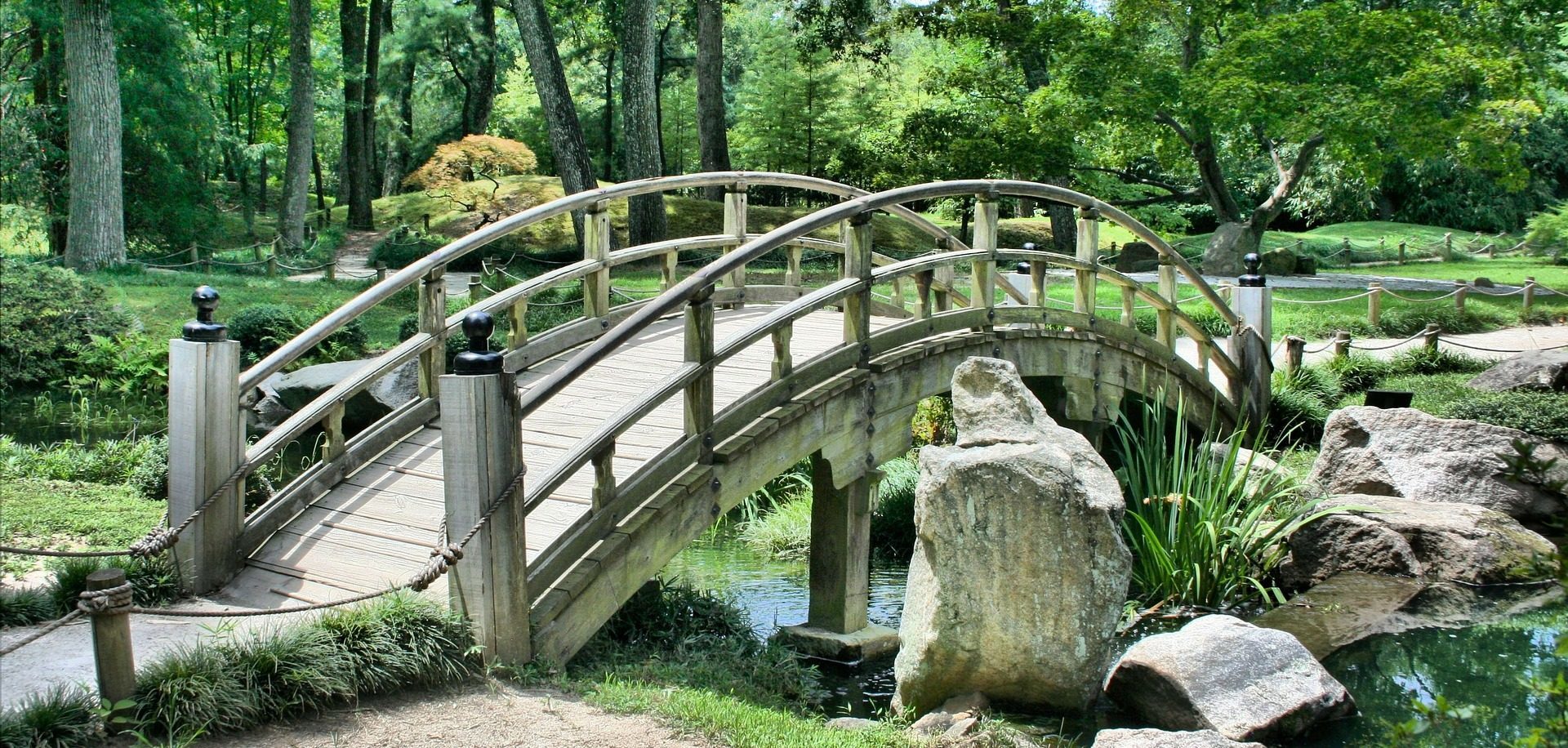 puente recurso bbva