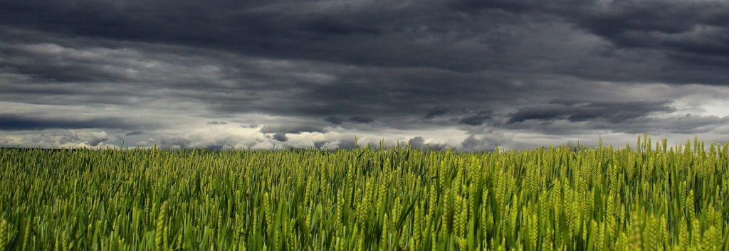 nubes recurso nubes recurso