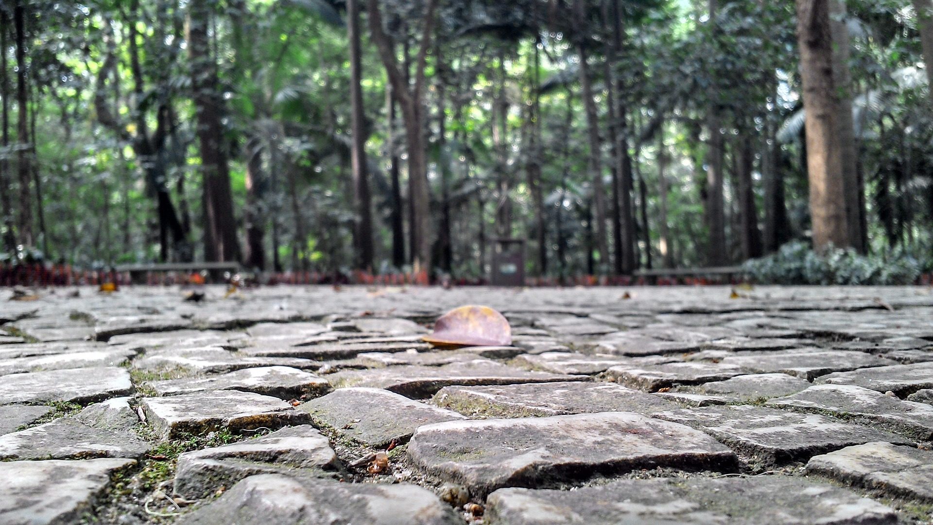 acera parque RECURSO