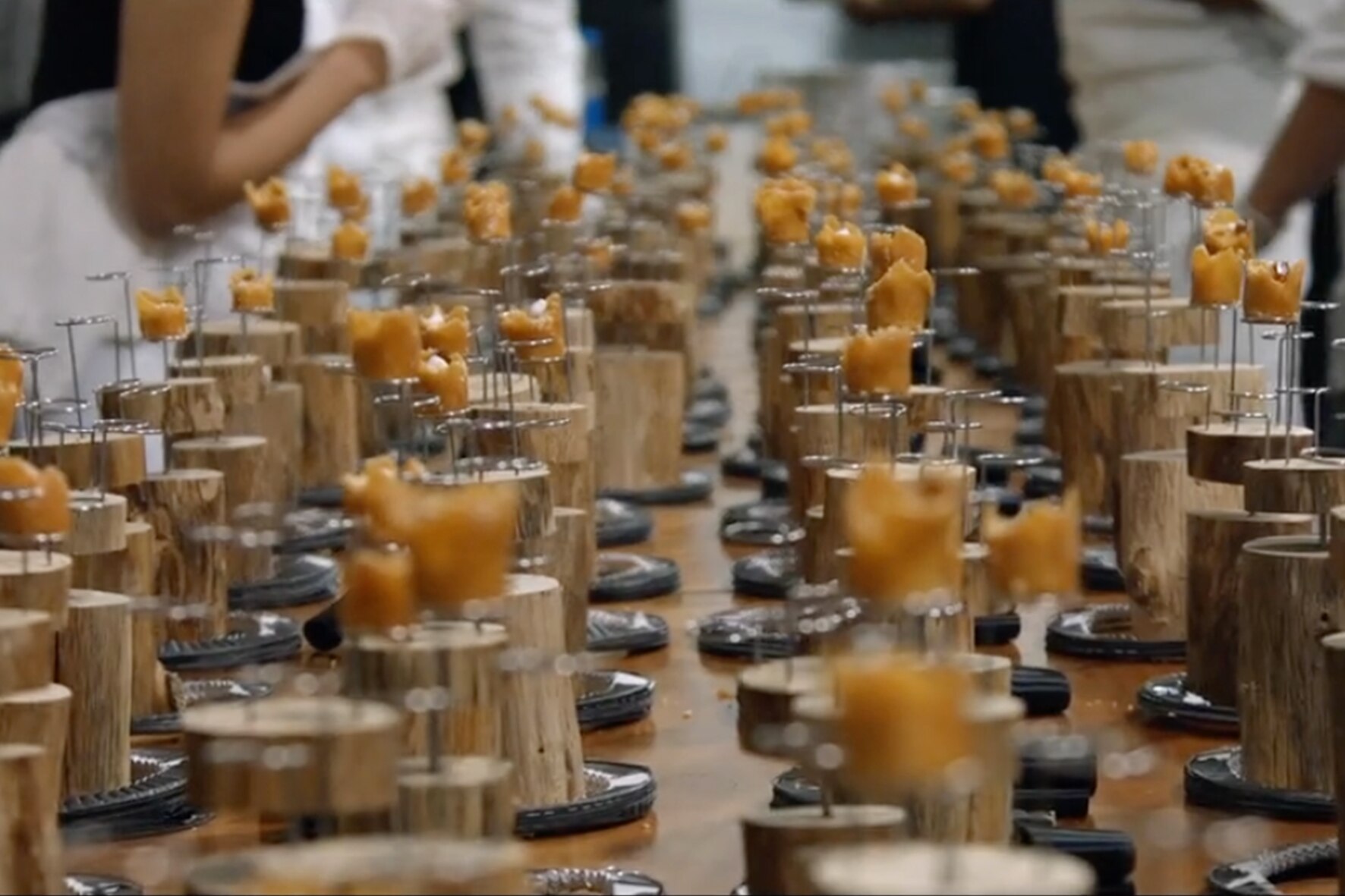Documental Cooking Up a Tribute Documental Cooking Up a Tribute