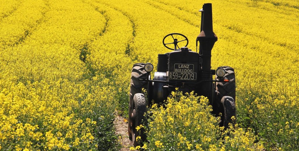 campo naturaleza commodities recurso campo naturaleza commodities recurso