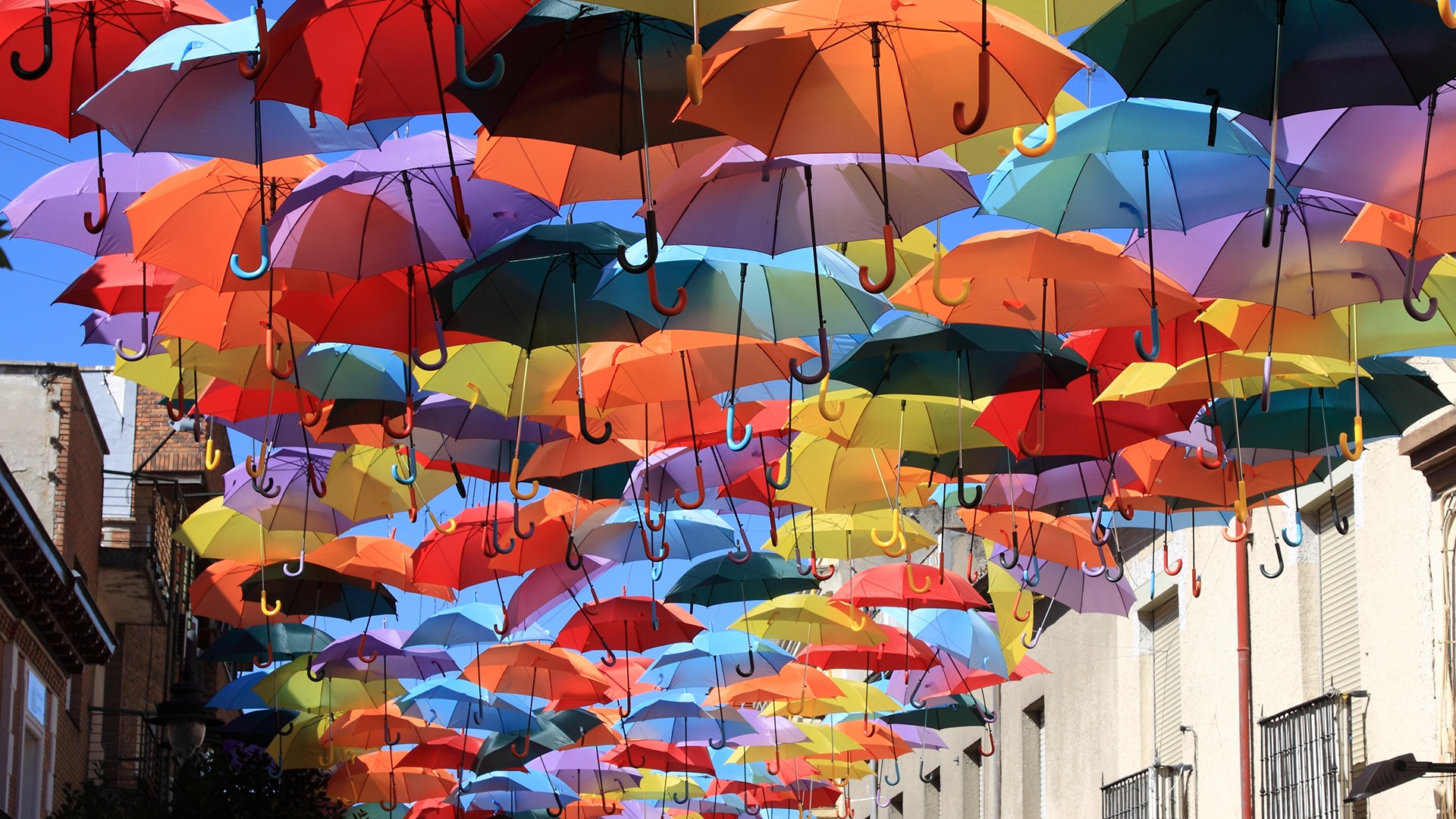 Recurso vida y cultura paraguas