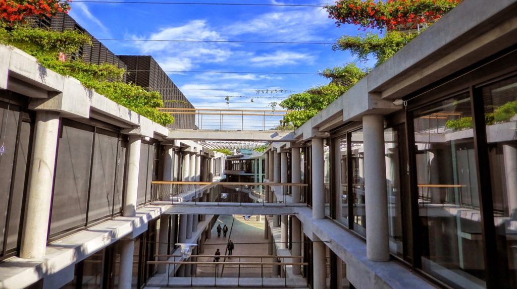 Fotografía de las plantas colgantes en Ciudad BBVA. ©Carlos Benítez-Donoso
