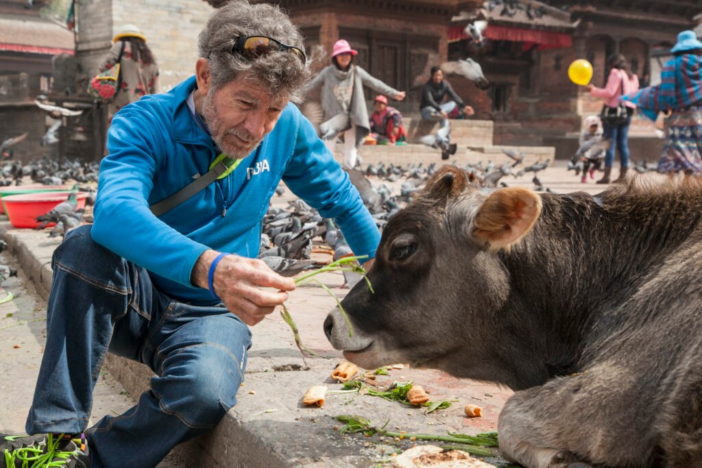 Carlos Soria en Katmandú con una vaca sagrada Carlos Soria en Katmandú con una vaca sagrada