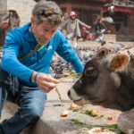 Carlos Soria en Katmandú con una vaca sagrada