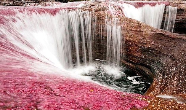 Imagen de Caños de Cristal Colombia