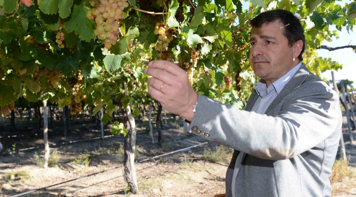 Josep Roca, sumiller de El Celler de Can Roca Josep Roca, sumiller de El Celler de Can Roca