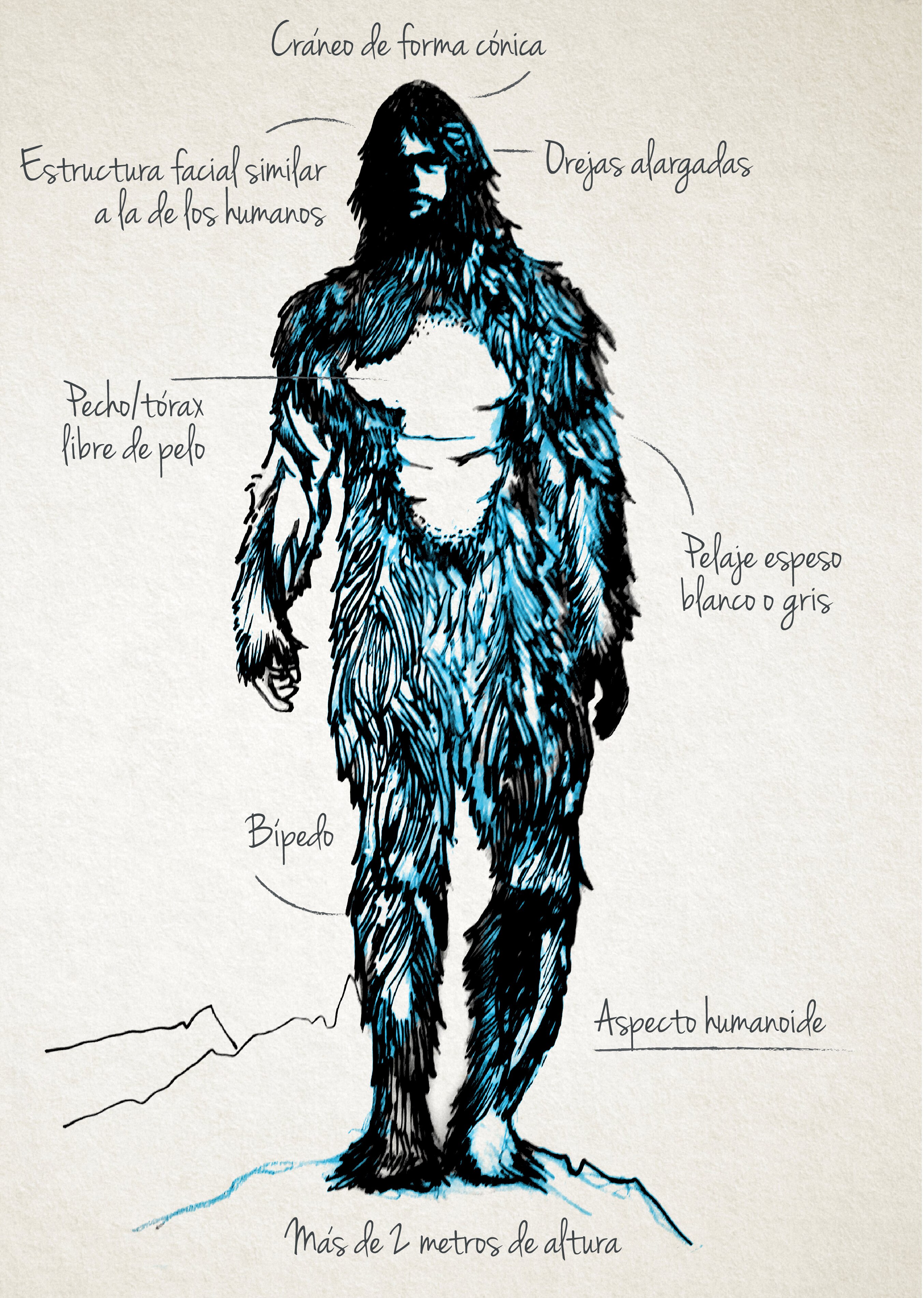 Dibujo del Yeti Dibujo del Yeti