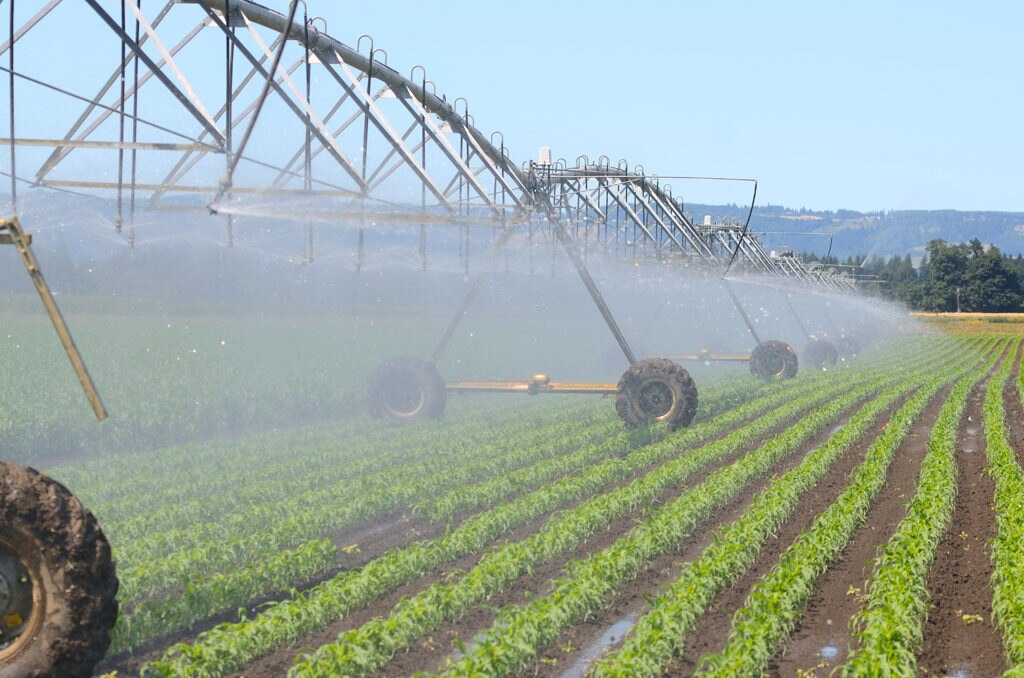 Fotografía sobre innovación agrícola en Argentina Fotografía innovación agrícola en Argentina-bbva