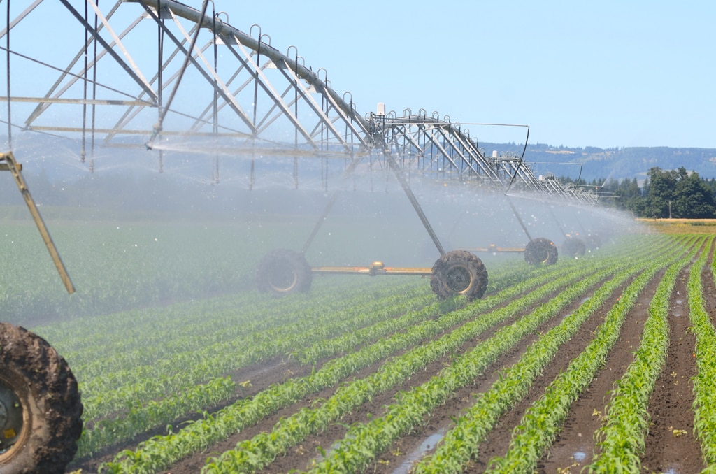 Fotografía sobre innovación agrícola en Argentina Fotografía innovación agrícola en Argentina-bbva
