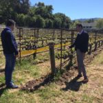 Fotografía de Josep Roca escuchando las explicaciones del enólogo Antoine Donnedieu, en las viñas de las Bodegas Araujo