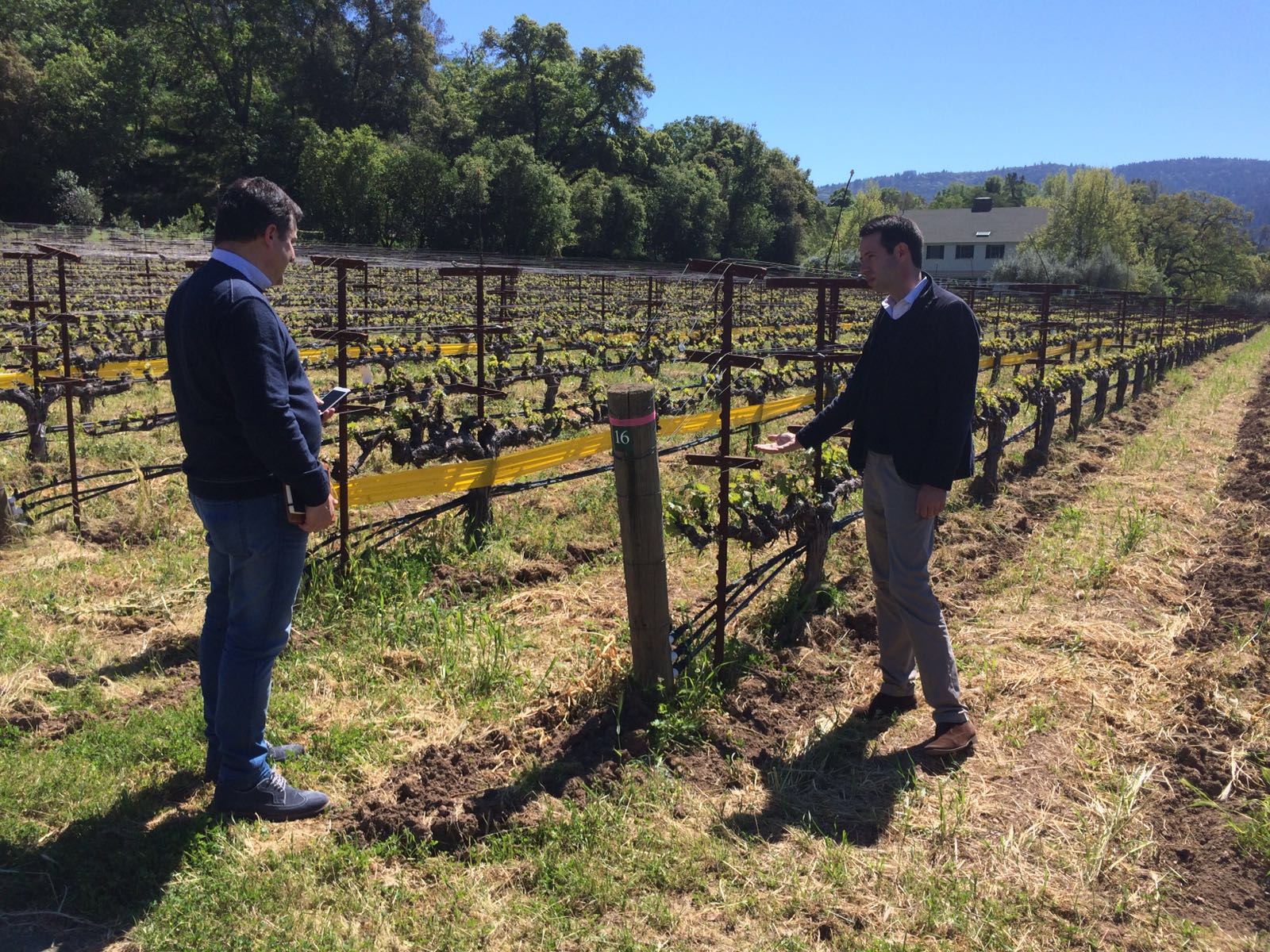 Josep Roca escuchando las explicaciones del enólogo Antoine Donnedieu, en las viñas de las Bodegas Araujo Fotografía de Josep Roca escuchando las explicaciones del enólogo Antoine Donnedieu, en las viñas de las Bodegas Araujo