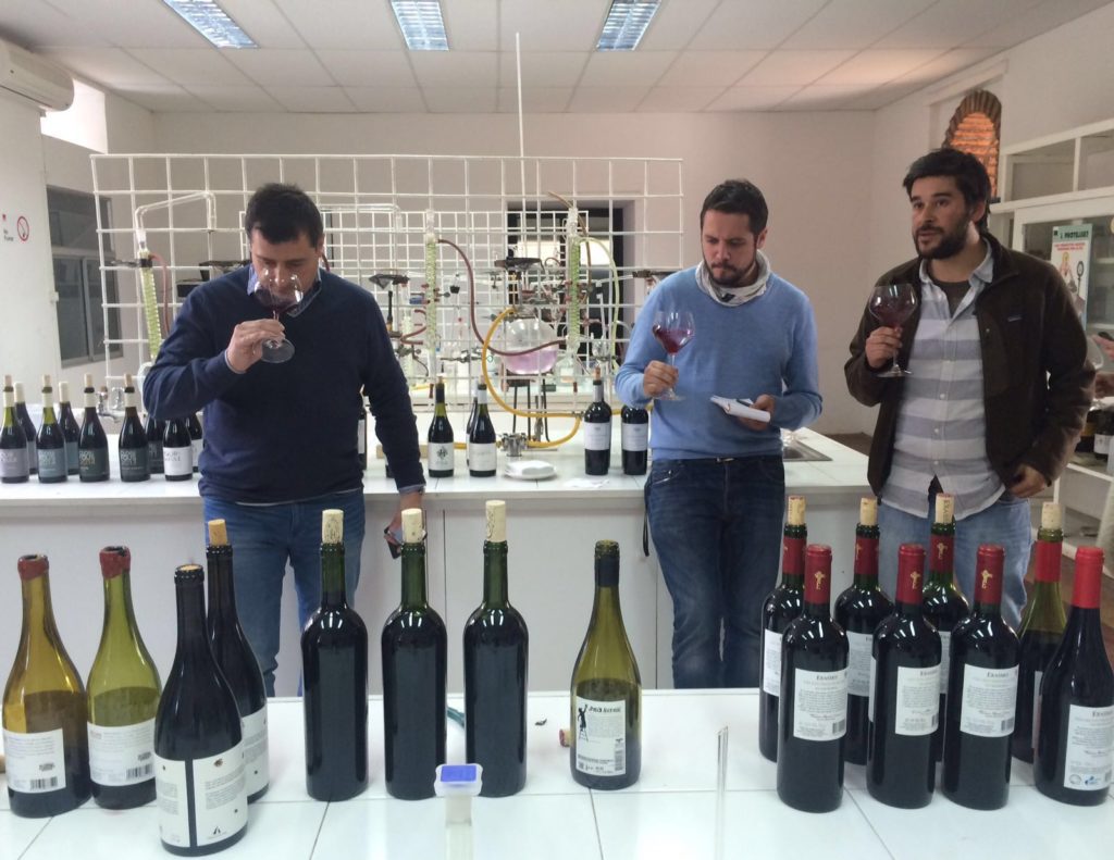 Josep Roca en una cata de vinos en la región de Maule sur en Chile Fotografía de Josep Roca en una cata de vinos en la región de Maule sur en Chile