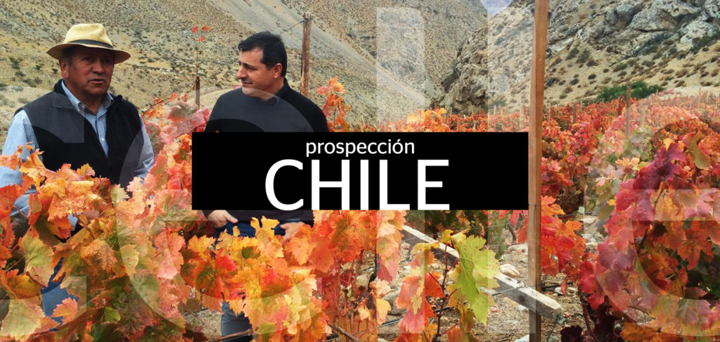 girabbva-elcellerdecanroca-prospeccion-chile-2016 girabbva-elcellerdecanroca-prospeccion-chile-2016