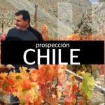 girabbva-elcellerdecanroca-prospeccion-chile-2016