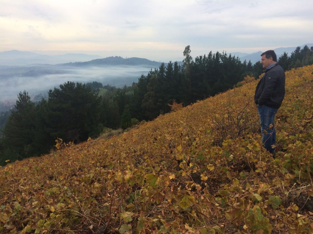 Josep Roca observa la vista panorámica del valle del río Itata desde lo alto de una viña salvaje en el municipio de Huarilihue Chile- gira BBVA- El Celler de Can Roca Fotografía de Josep Roca observa la vista panorámica del valle del río Itata desde lo alto de una viña salvaje en el municipio de Huarilihue Chile- gira BBVA- El Celler de Can Roca