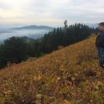 Fotografía de Josep Roca observa la vista panorámica del valle del río Itata desde lo alto de una viña salvaje en el municipio de Huarilihue Chile- gira BBVA- El Celler de Can Roca