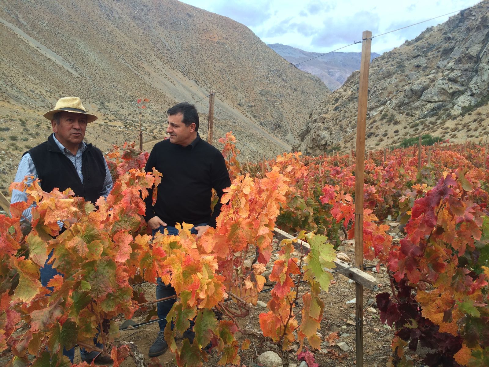 Josep Roca visita las bodegas Viñedos de Alcohuaz en el Valle de Elqui en Chile durante el viaje de prospección de la Gira BBVA 2016 Fotografía de Josep Roca visita las bodegas Viñedos de Alcohuaz en el Valle de Elqui en Chile durante el viaje de prospección de la Gira BBVA 2016
