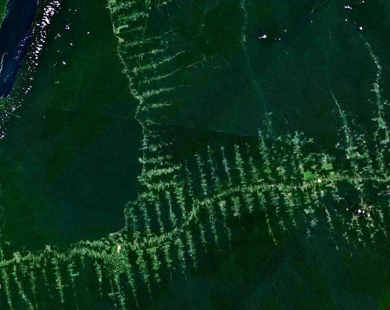 Imagen de la Amazonia desde el espacio_ NASA Imagen de la Amazonia desde el espacio_ NASA