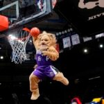 Mascota NBA Sacramento Kings hace un mate en la pista de baloncesto