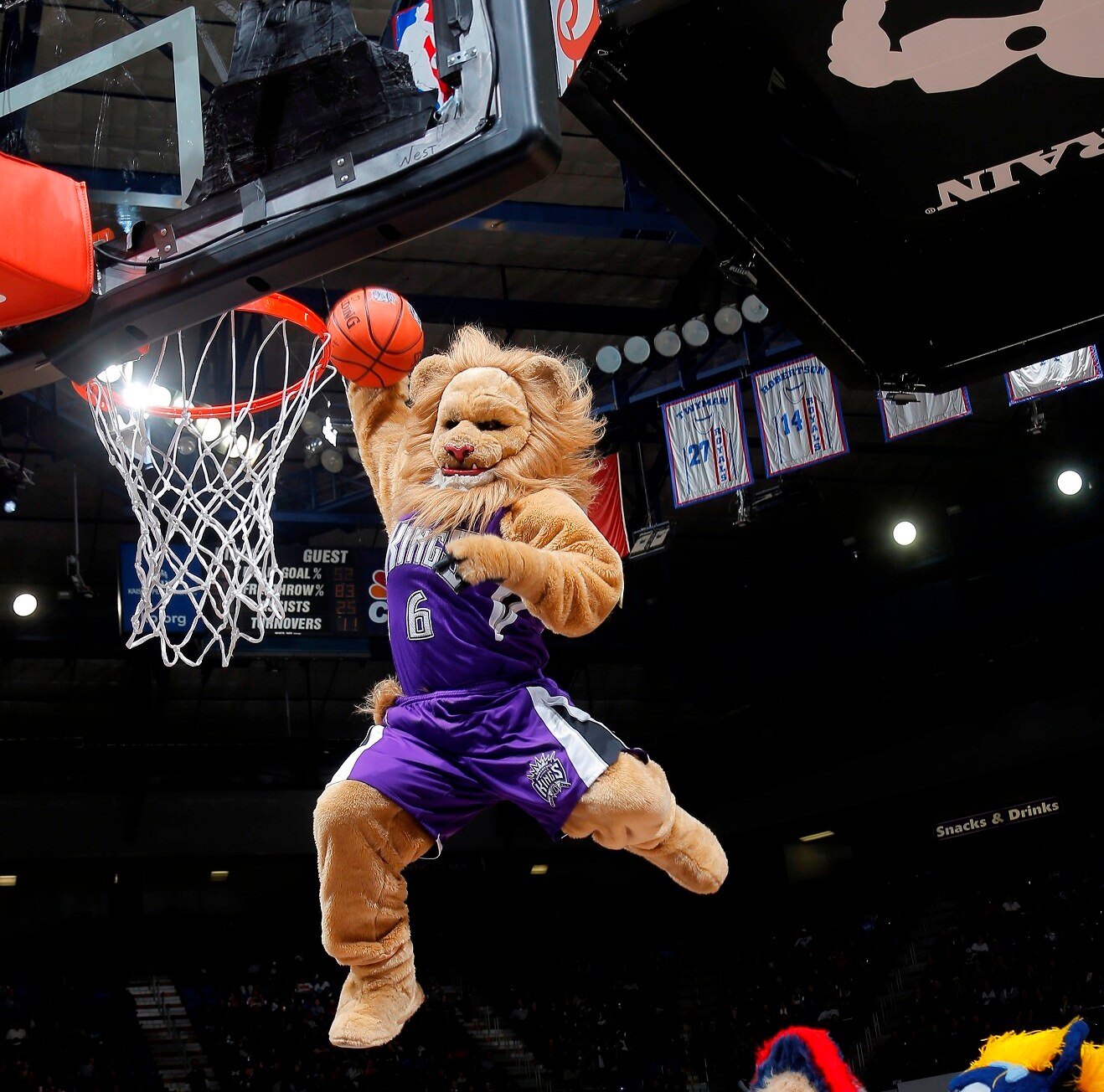 Slamson the Lion la mascota de los Sacramento Kings estará en Valencia en el NBA Mascota NBA Sacramento Kings hace un mate en la pista de baloncesto