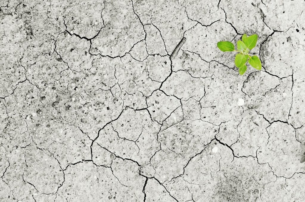 Recurso fotografía cambio climático Recurso fotografía cambio climático