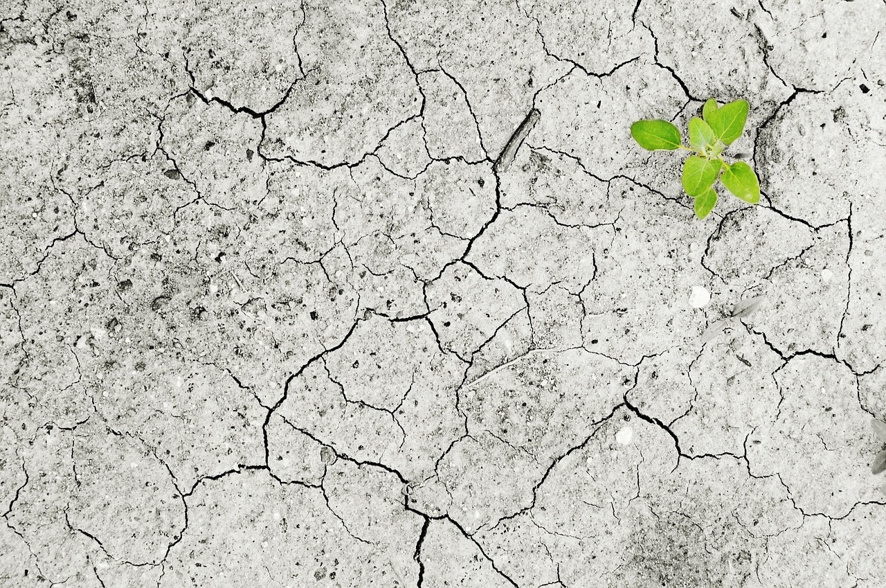 Recurso fotografía cambio climático Recurso fotografía cambio climático