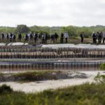 Fotografía de Marcha de la Ruta BBVA 2016 por Celestún