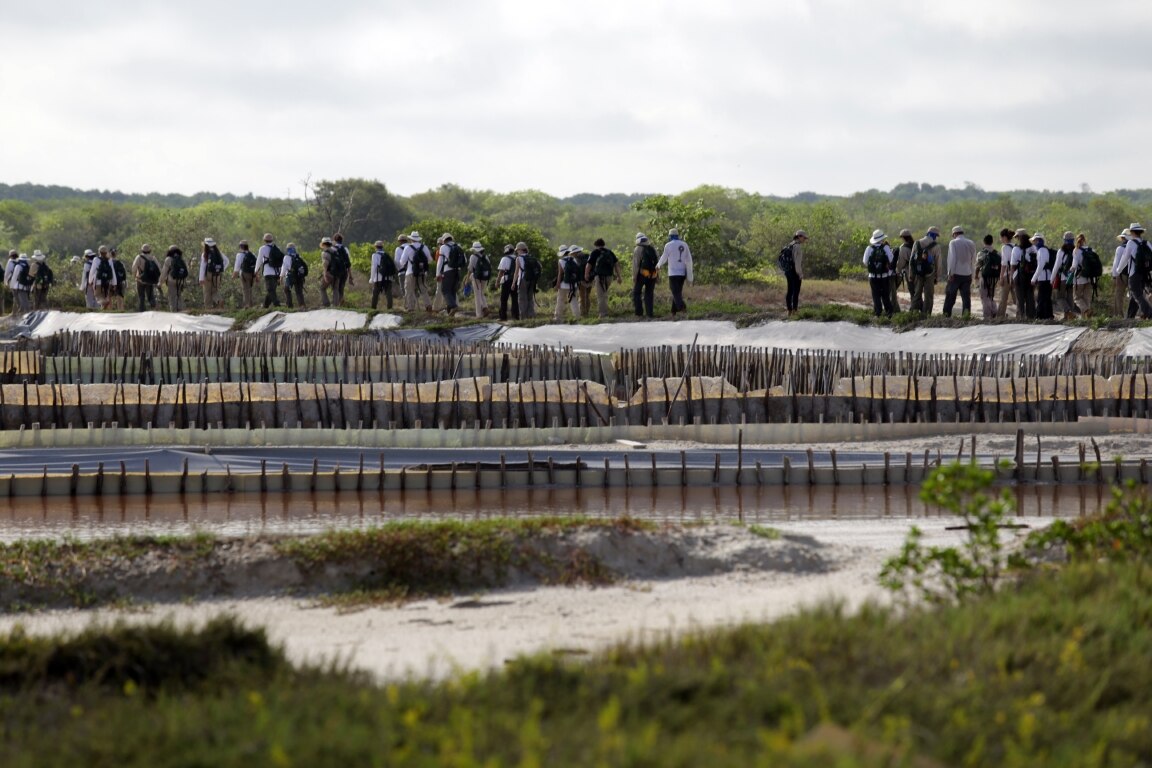 Fotografía de Marcha de la Ruta BBVA 2016 por Celestún