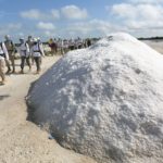 Fotografía de la Marcha de la Ruta BBVA 2016 por las salinas de Celestún