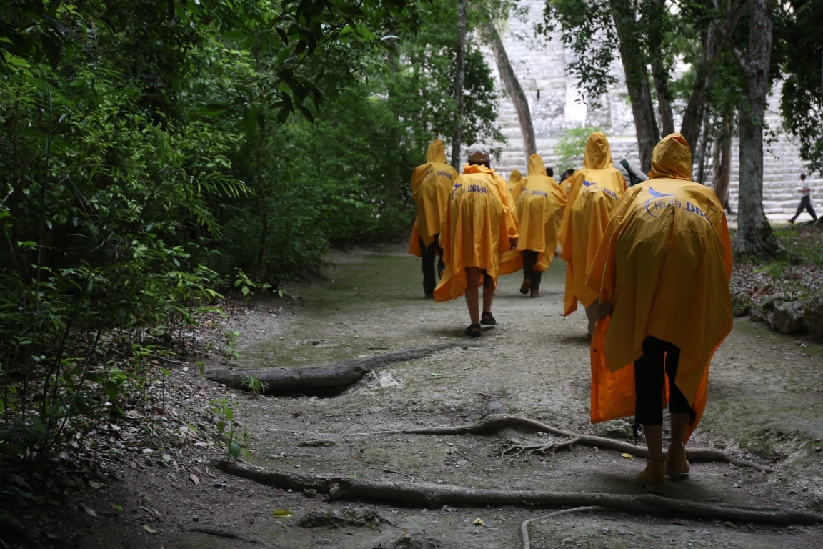 Ruta BBVA 2016 en Calakmul, México Fotografía de la Ruta BBVA 2016 en Calakmul, México