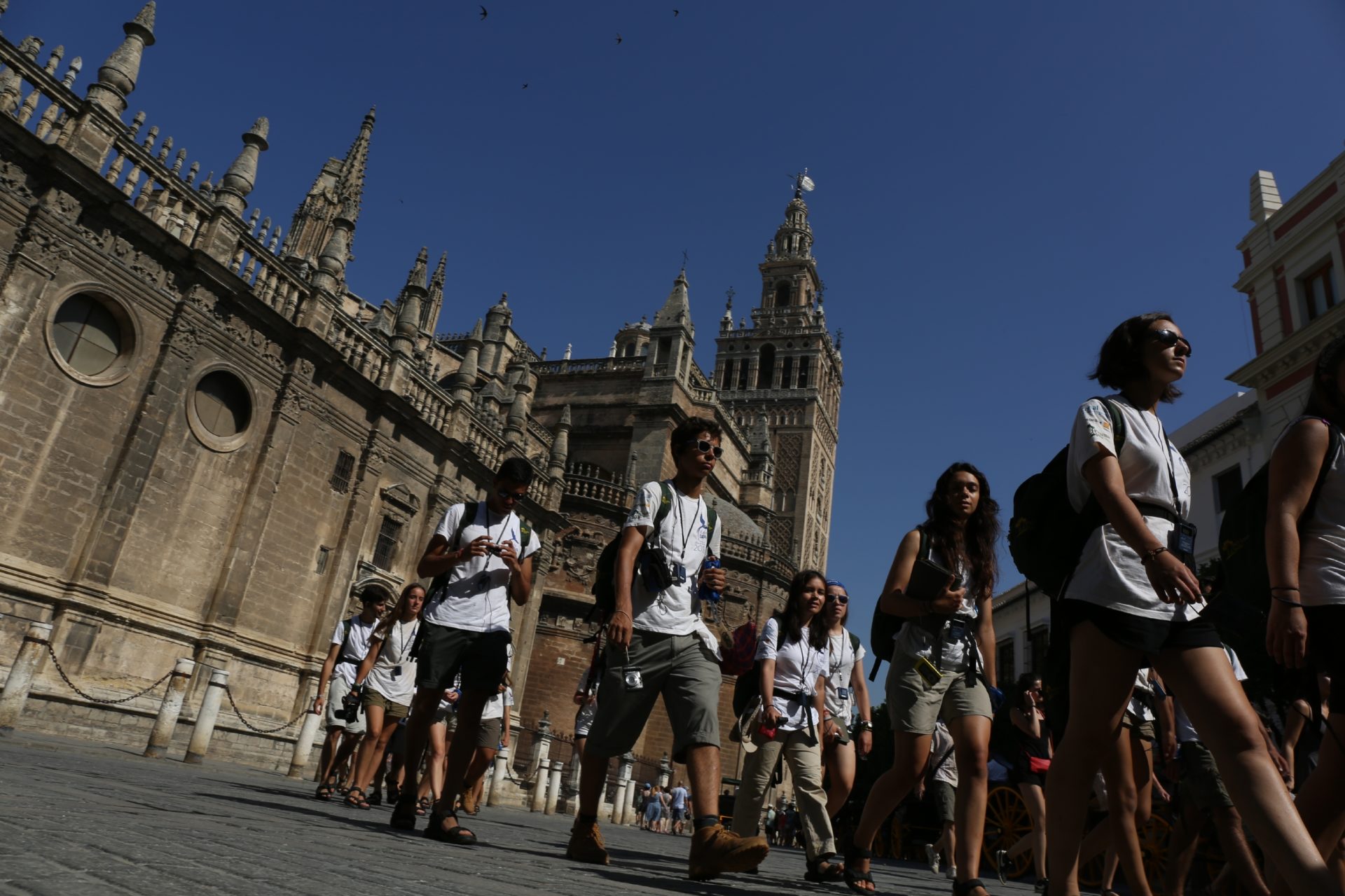 La Ruta BBVA visita la catedral de Sevilla