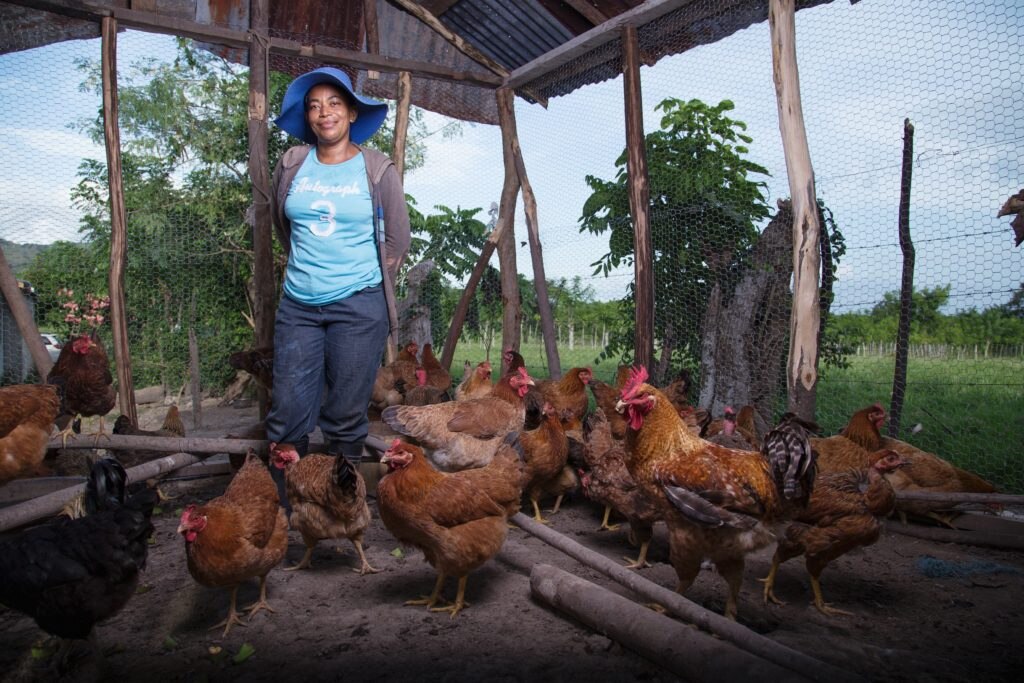 Yolanda Guerrero - Rep Dom - Banco Adopem de la Fundación Microfinanzas BBVA Fotografía de Yolanda Guerrero - Rep Dom - Banco Adopem de la Fundación Microfinanzas BBVA