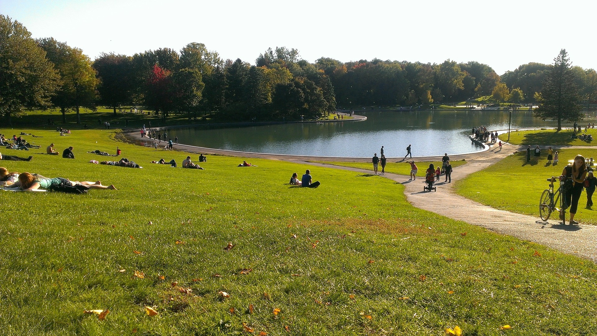 Parque Mont Royal de Montreal Fotografía de Parque Mont Royal de Montreal