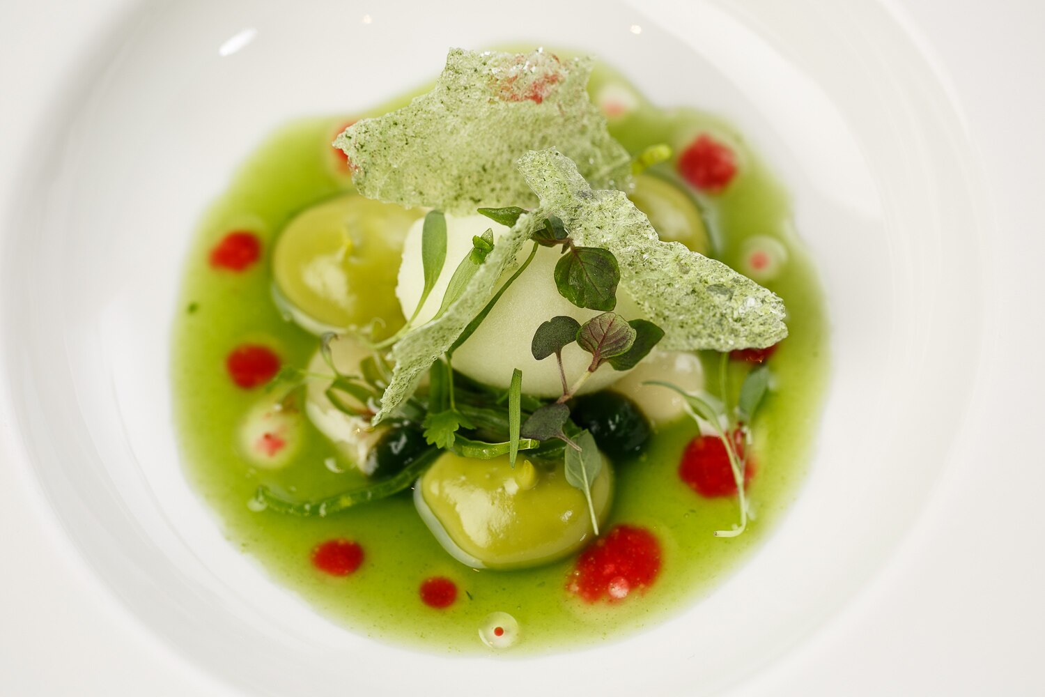 Fotografía de Cromatismo verde menú Phoenix Gira BBVA El Celler de Can Roca 2016