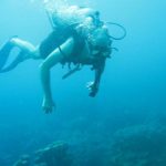 Fotografía buceando en las Islas del Rosario