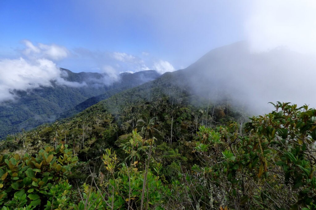 Cuchilla de San Lorenzo de la Sierra Nevada de Santa Marta-Alejandro Bayer Tamayo Fotografía de Alejandro Bayer Tamayo de la Cuchilla de San Lorenzo de la Sierra Nevada de Santa Marta