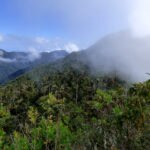 Fotografía de Alejandro Bayer Tamayo de la Cuchilla de San Lorenzo de la Sierra Nevada de Santa Marta