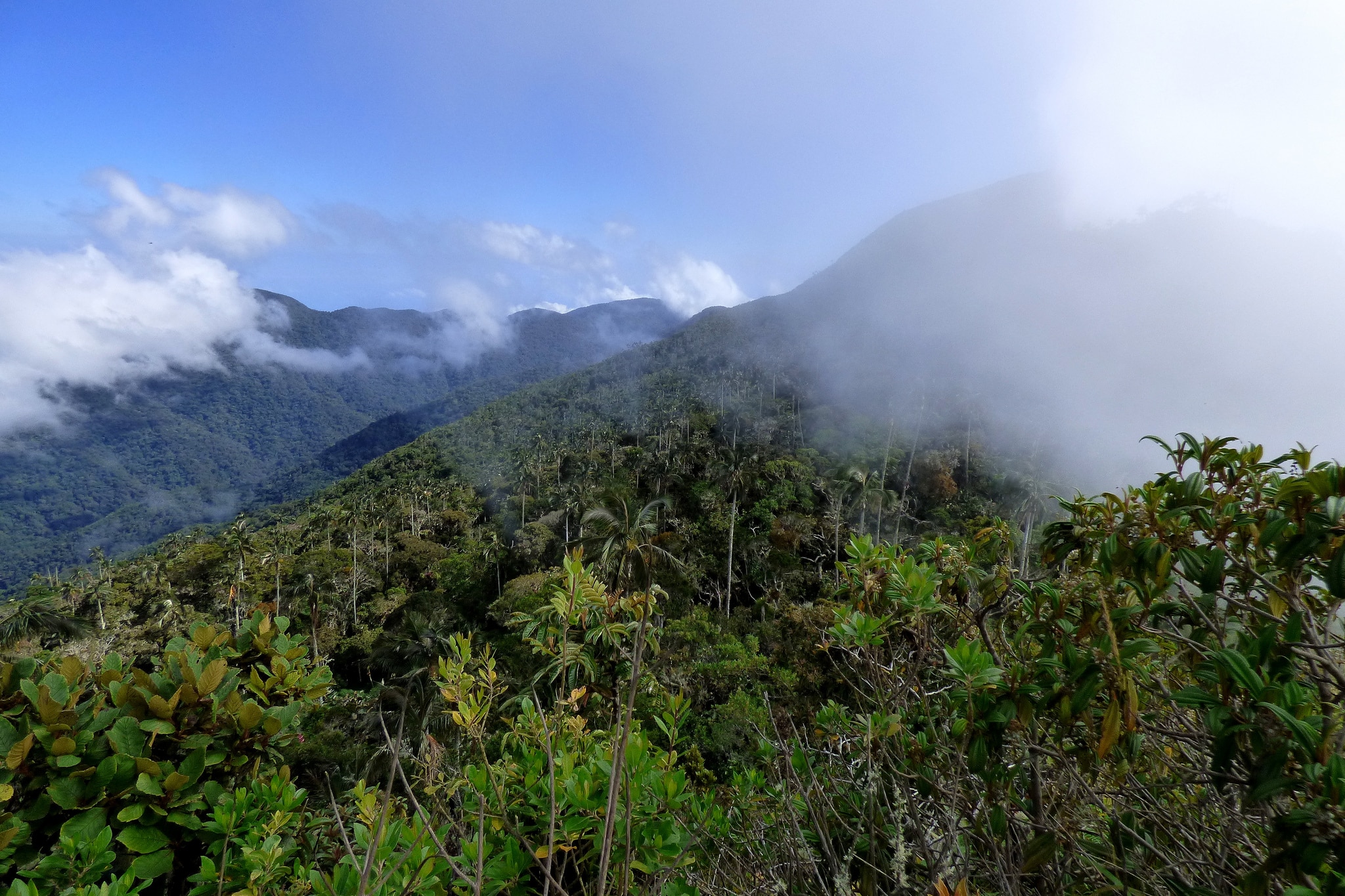 Cuchilla de San Lorenzo de la Sierra Nevada de Santa Marta-Alejandro Bayer Tamayo Fotografía de Alejandro Bayer Tamayo de la Cuchilla de San Lorenzo de la Sierra Nevada de Santa Marta