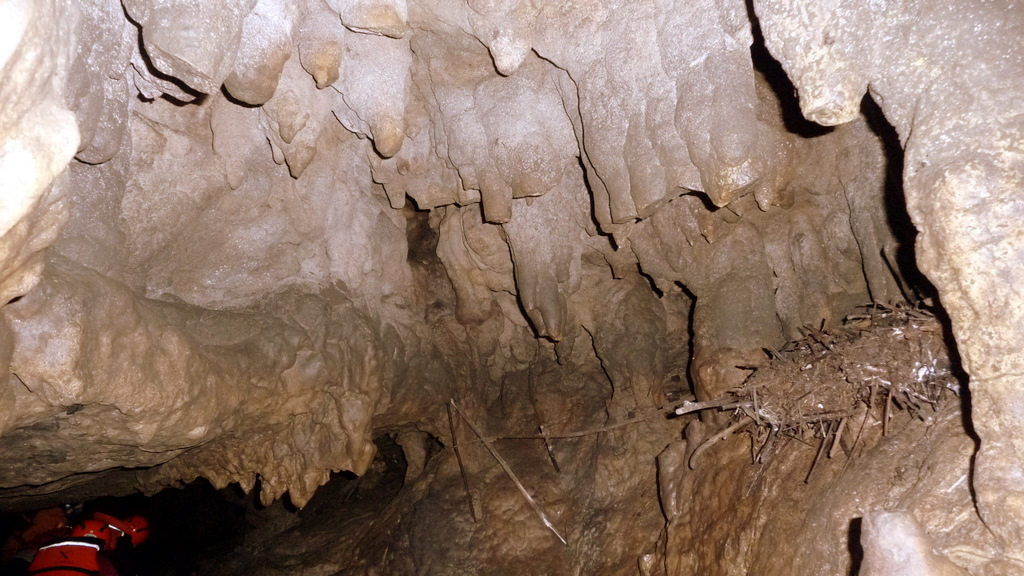 Cueva del Indio, Santander, Colombia - Yassef Briceño García, flickr Fotografía de Yassef Briceño García en la cueva del Indio, Santander, Colombia