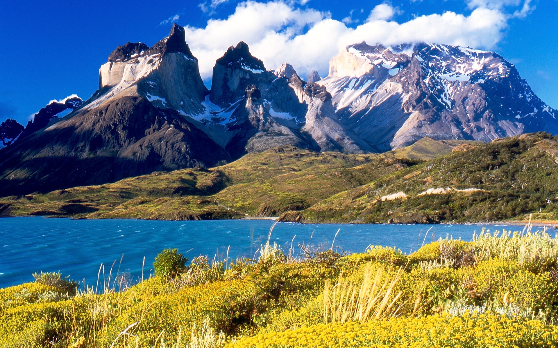 Paisaje de la Patagonia Parque Torres del Paine Parque Torres del Paine. Patagonia. Wikipedia Commons