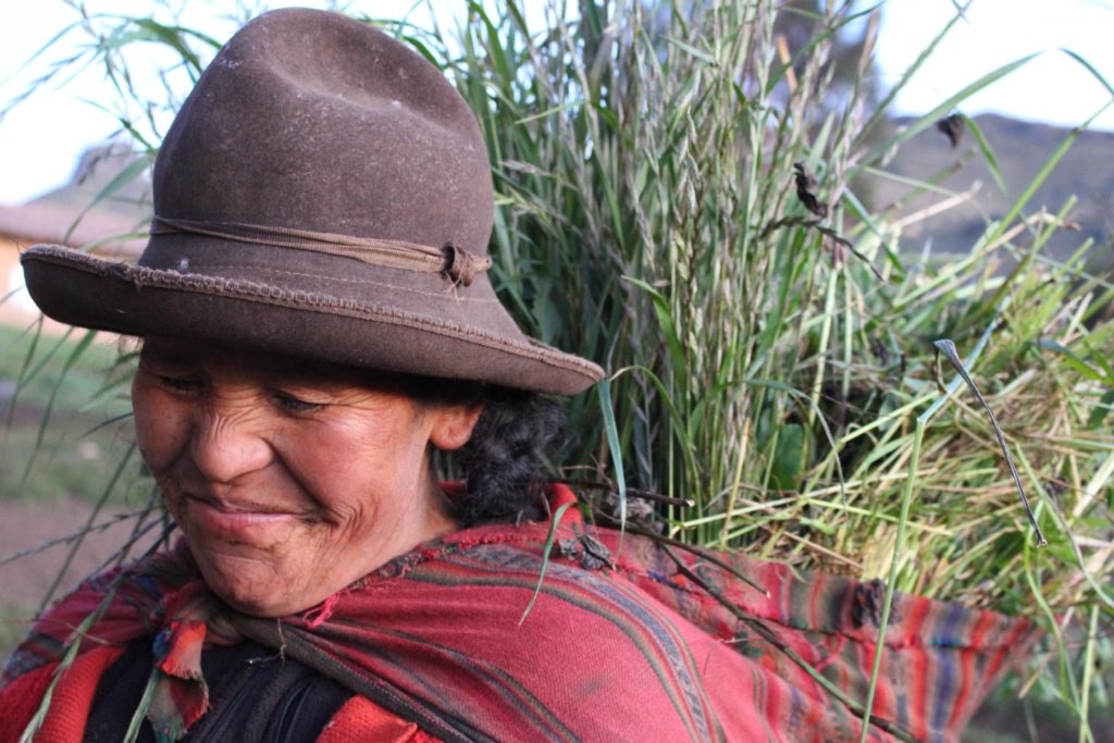Imagen de una mujer campesina, clienta de la Fundación Microfinanzas BBVA Imagen de una mujer campesina, clienta de la Fundación Microfinanzas BBVA