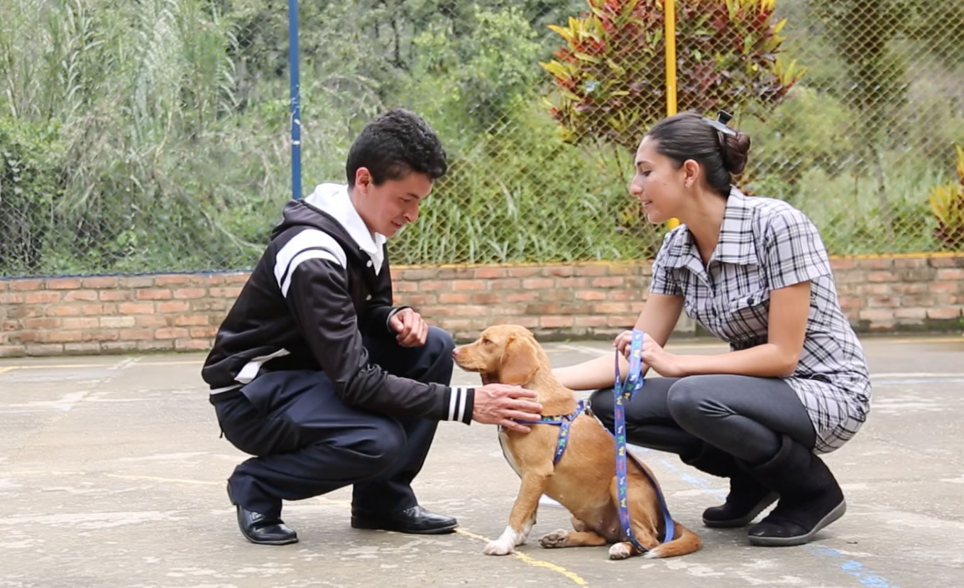 Animal Club crea fortalezas en una gran atención al cliente Fotografía de Animal Club crea fortalezas en una gran atención al cliente