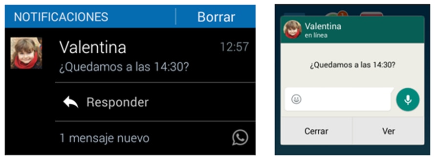 Notificaciones de Whatsapp recurso