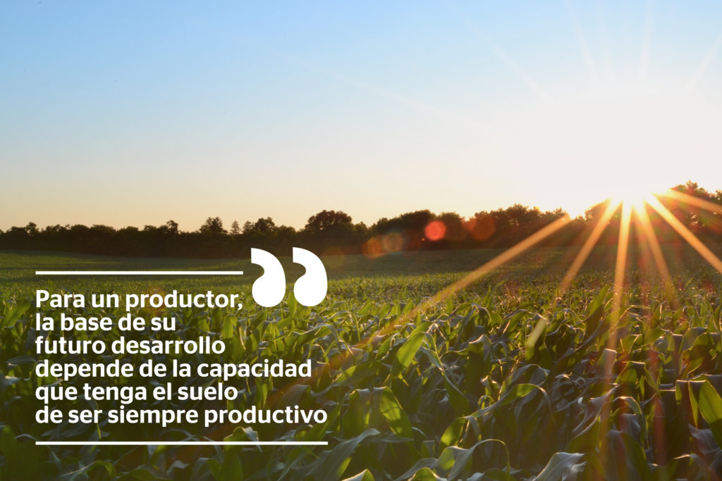 Imagen de campo Imagen de plantación