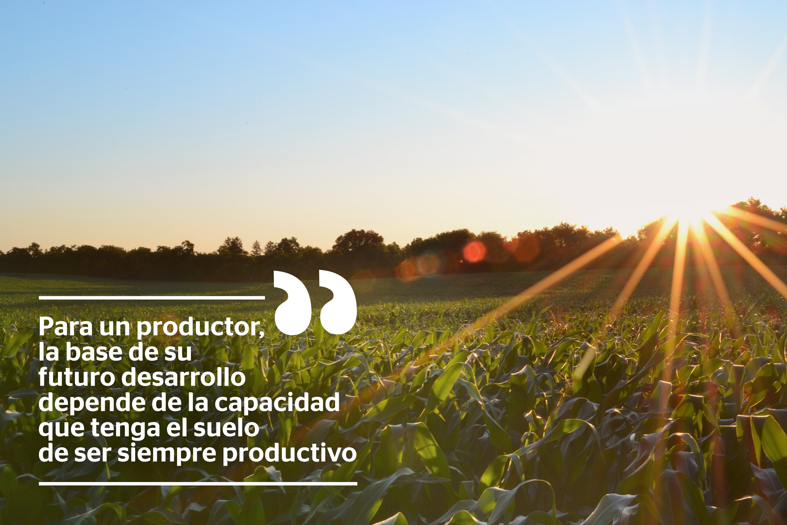 Imagen de campo Imagen de plantación