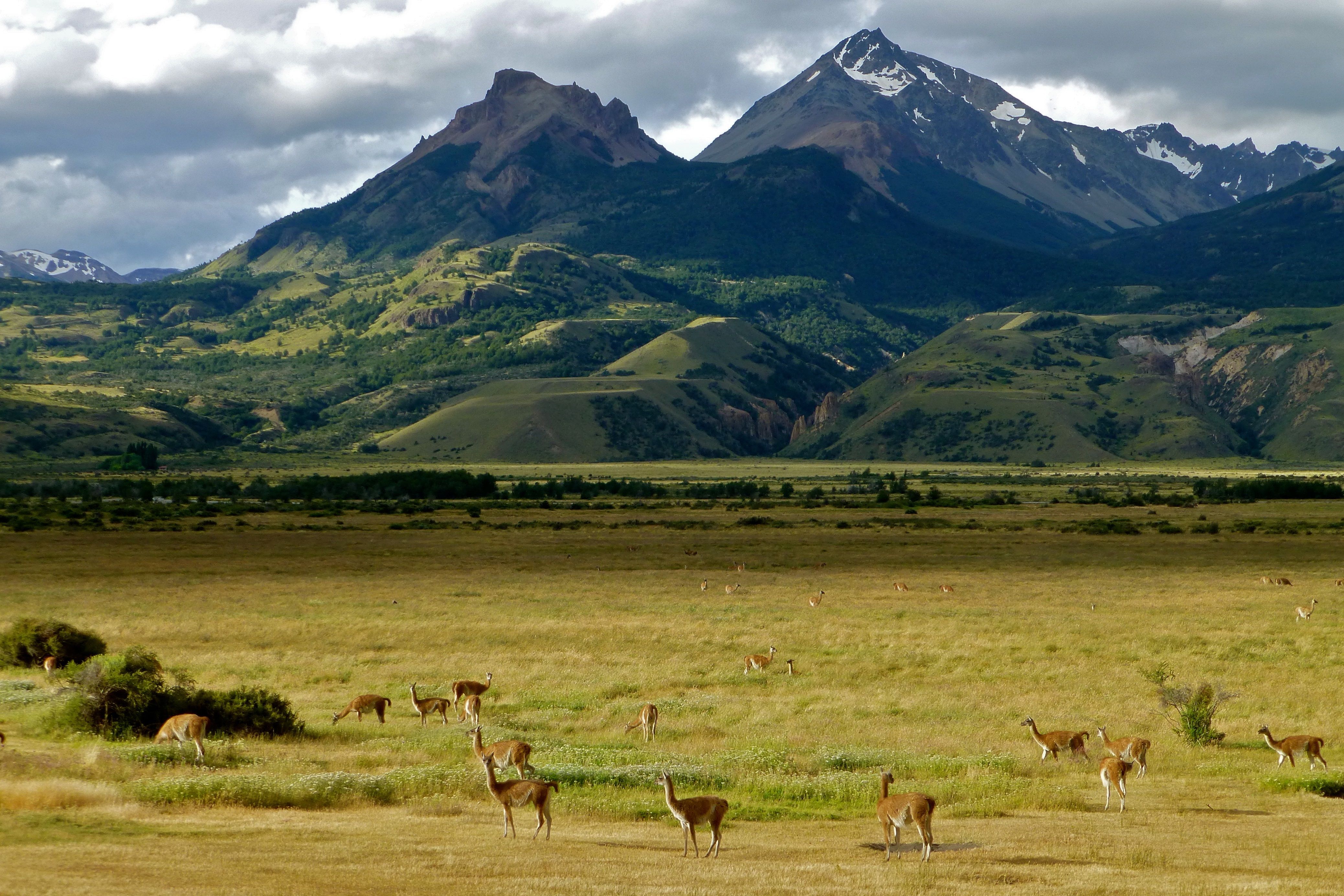 Parque Patagonia Parque Patagonia