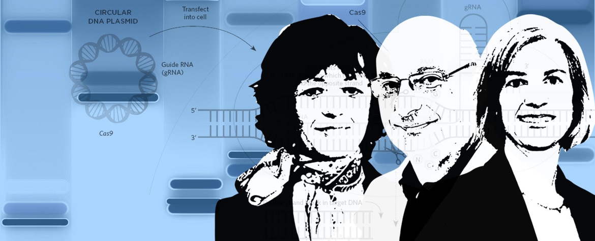 Imagen de Charpentier, Doudna y Mojica, Premio Fundación BBVA Fronteras del Conocimiento en Biomedicina