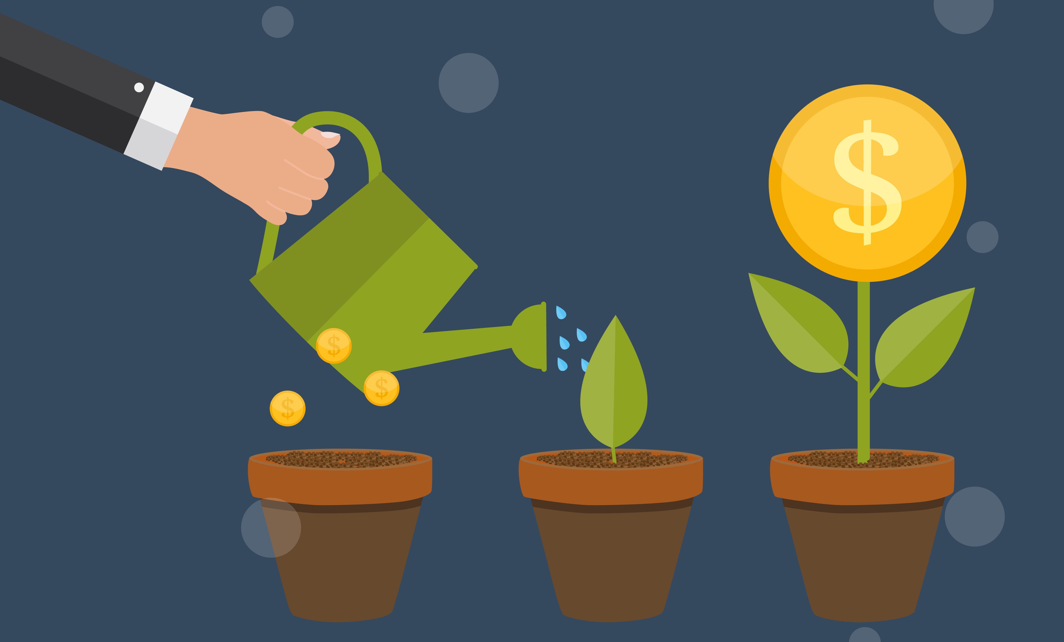 crecimiento fintech recurso dolar economía